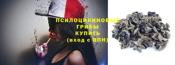 прущий лед Алексеевка