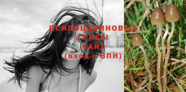 прущий лед Алексеевка
